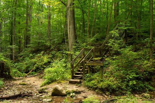 Hiking trails through the ravines around Shades state park.  Indiana, USA.