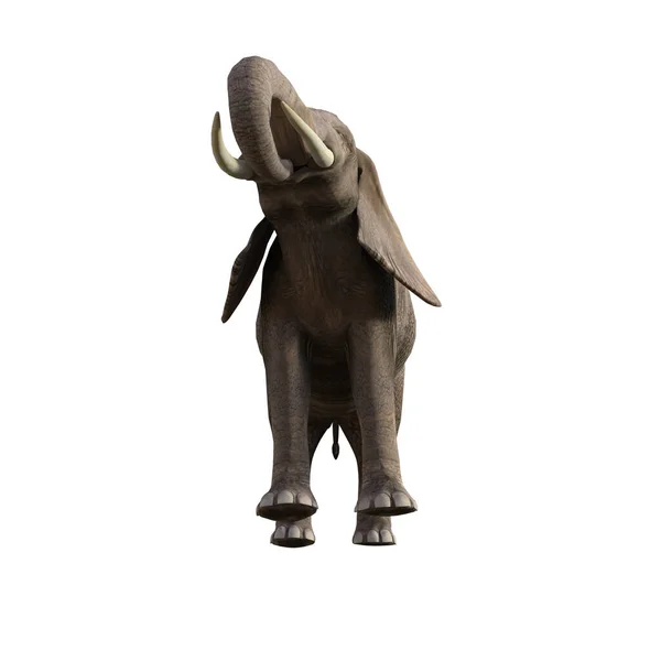 コラージュやクリップアートのための異なるポーズや角度で象のイラスト 第1番は白地に孤立している 3Dレンダリング図 — ストック写真
