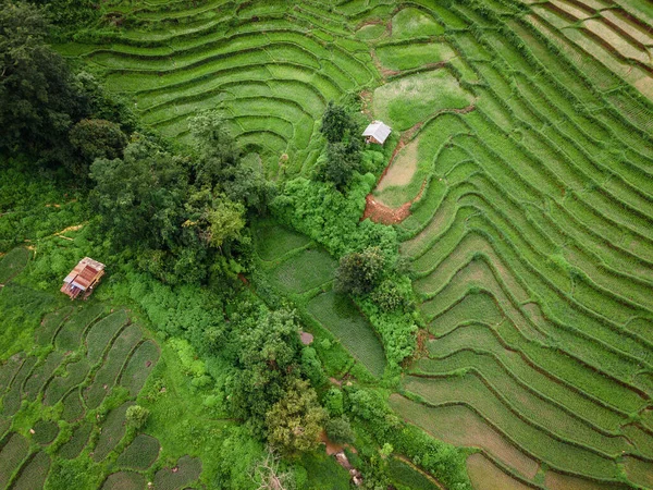 Top view of Rice field terraced behind the mountain in Chiang mai, Thailand.