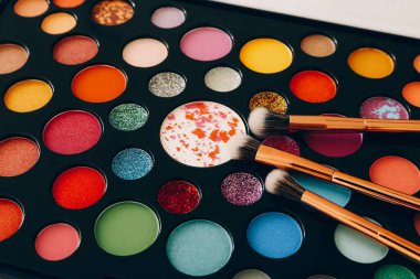 Gölge kiti için makyaj fırçaları ile