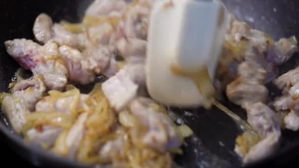 Carne Ceapă Prăjită Tigaie Amestecând Manual Carne Spatulă Vine Aburul — Videoclip de stoc
