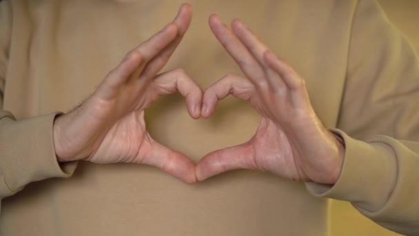 Mans Hands Fingers Folded Shape Heart Moves Meet Camera Valentines — Vídeos de Stock
