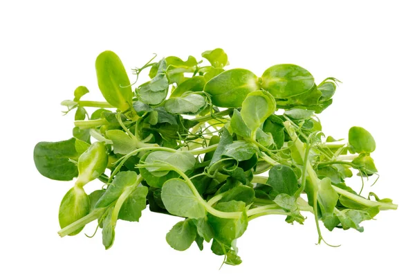 Green Sprouts Microgreen Peas Isolated White Background — Stock Photo, Image