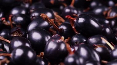 Saplı taze siyah üzümlerin detaylı bir görüntüsü, organik ve sulu kalitelerini vurguluyor. Sağlıklı beslenme ve doğal gıda seçimlerini desteklemek için ideal..