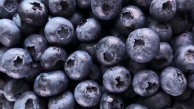 Yakın plan taze yaban mersini, sulu dokularını ve zengin renklerini vurguluyor. Smoothie, pişirme ve sağlıklı yemek videoları için mükemmel..