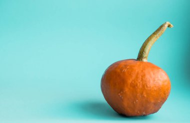 Mavi arka planda şirin dekoratif balkabakları ve fotokopi alanı. Cadılar Bayramı veya Şükran Günü konsepti. Turuncu balkabağı arka planı. Sonbahar hasadı. Sonbahar dekorasyon kavramı.