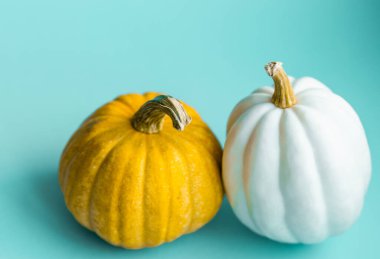 Mavi arka planda şirin dekoratif balkabakları ve fotokopi alanı. Cadılar Bayramı veya Şükran Günü konsepti. Turuncu balkabağı arka planı. Sonbahar hasadı. Sonbahar dekorasyon kavramı.