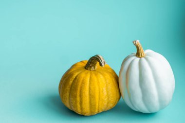 Mavi arka planda şirin dekoratif balkabakları ve fotokopi alanı. Cadılar Bayramı veya Şükran Günü konsepti. Turuncu balkabağı arka planı. Sonbahar hasadı. Sonbahar dekorasyon kavramı.