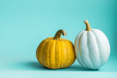 Mavi arka planda şirin dekoratif balkabakları ve fotokopi alanı. Cadılar Bayramı veya Şükran Günü konsepti. Turuncu balkabağı arka planı. Sonbahar hasadı. Sonbahar dekorasyon kavramı.