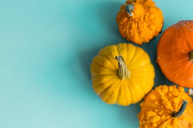Mavi arka planda şirin dekoratif balkabakları ve fotokopi alanı. Cadılar Bayramı veya Şükran Günü konsepti. Turuncu balkabağı arka planı. Sonbahar hasadı. Sonbahar dekorasyon kavramı.