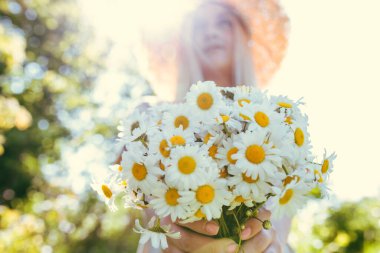 Güzel bir kadın tarlada bir sürü papatya tutuyor. Yaz manzarası ve kır çiçekli genç bir kız. Papatya çiçeği desenli keten bir elbisenin içinde mutlu bir kadın..