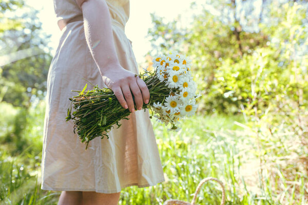 Beautiful woman;s hand holds a bunch of daisies in the field. Summer landscape and young girl with field flowers. Happy woman in a linen dreess with camomile flowers bouquet in summer nature.