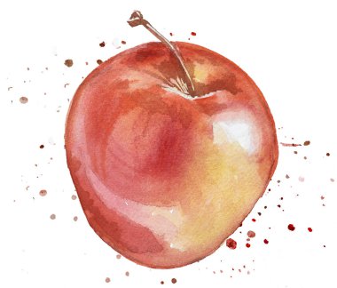 Suluboya elle boyanmış armut ve olgun elma beyaz arka planda izole edilmiş. Sonbahar meyvesi illüstrasyonu. Sağlıklı gıda tasarımı. Organik elma parçası.