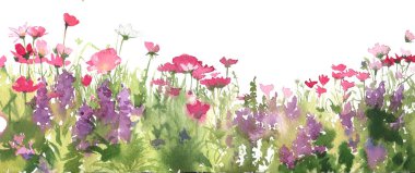 Field flowers clipart isolated on white. Watercolor hand painted spring flowers meadow. clipart