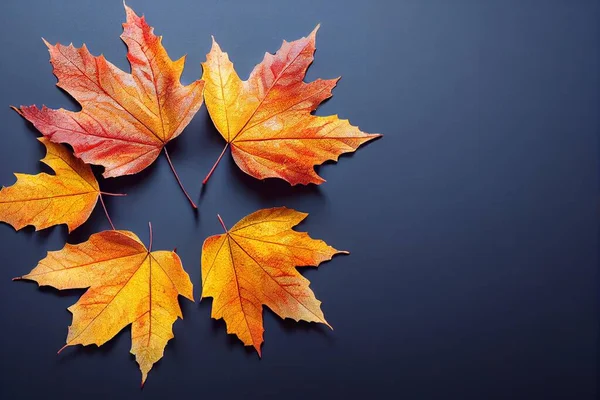 four autumn leaves arranged in a circle on a blue surface with a black background and a white border around them