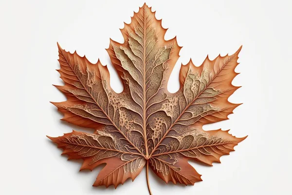 a leaf with brown and gold leaves on it's side, on a white background, with a shadow of the leaf on the side of the leaf, and the other side of the leaf. .