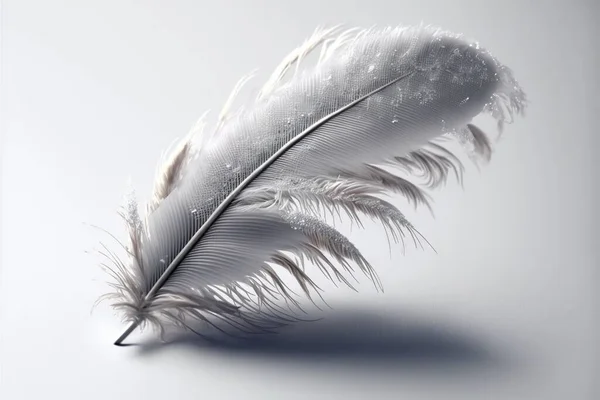 a white feather with a black tip on a white background with a shadow of the feather and a light reflection of the feather on the surface of the feather is a white background with a. .