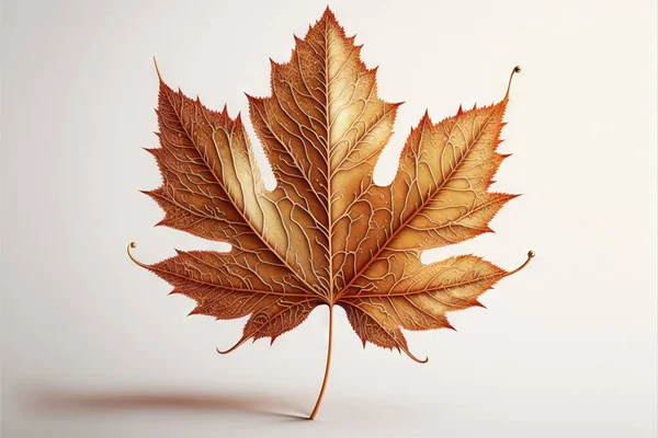 a leaf with brown leaves on it is shown in a white background with a shadow of the leaf on the left side of the image and a light background with a shadow of the leaf.