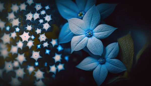 a close up of a blue flower on a black and white background with a star pattern in the background and a white and blue flower in the middle.