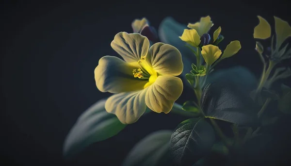 a yellow flower with green leaves on a black background with a black background and a black background with a yellow center and a green center.