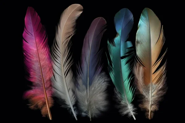 three different colored feathers on a black background, one is a pink, one is a green, and one is a blue.