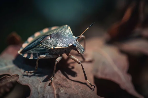 a bug sitting on top of a leaf on top of a leaf.