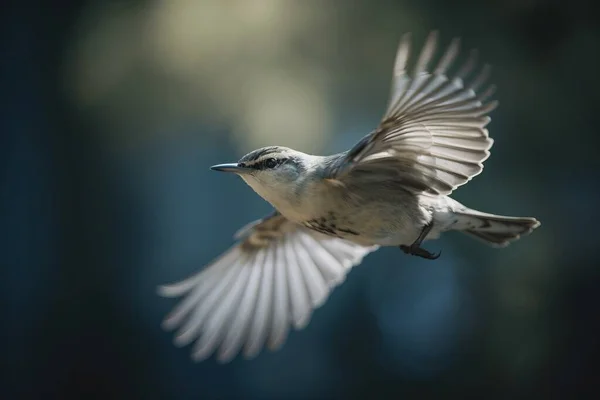 a small bird flying through the air with its wings spread.