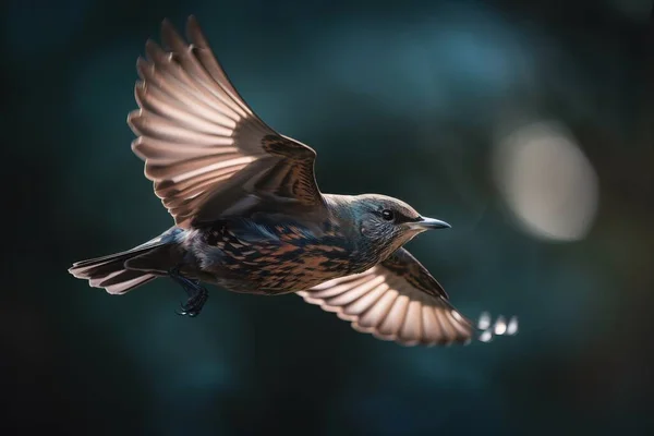 a small bird flying through the air with its wings spread.