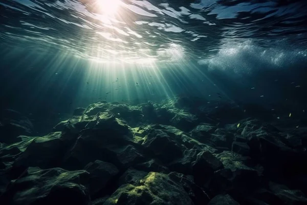 the sun shines through the water over a rocky reef in the ocean with rocks and algaes on the bottom of the water photo.
