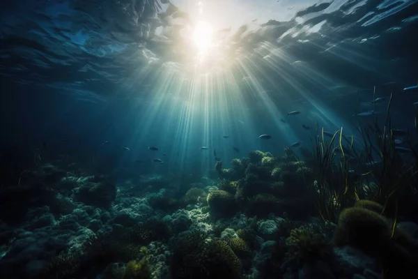 the sun shining through the water over a coral reef with seaweed and other marine life on the bottom of the water, with the sun shining through the water.
