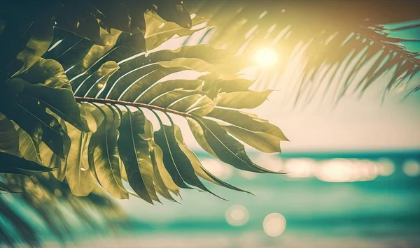 a palm tree branch with the sun shining through the leaves on the ocean shore in a blurry photo of the sun shining through the leaves.