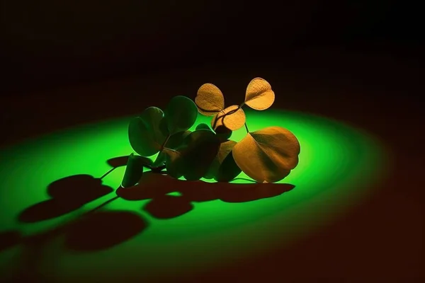 a group of leaves casting a shadow on a green surface with a black background and a green light behind it, with a shadow of a leaf on the left side of the.