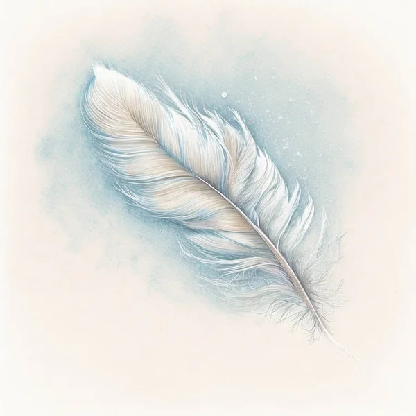 a white feather on a blue background with a white background. .