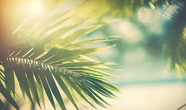a close up of a palm tree with the sun shining through the leaves.