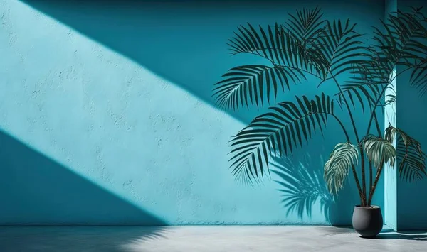 a palm tree in a room with a blue wall and a potted plant.