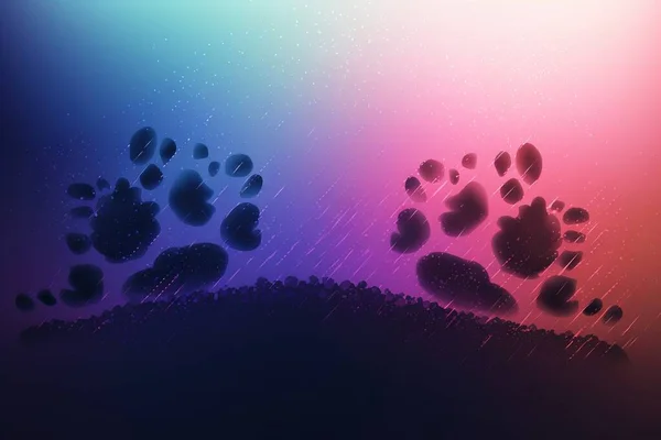 a colorful background with a bear paw print on the left side of the image.