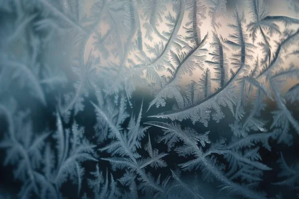 a close up of a frosted window with trees in the background.