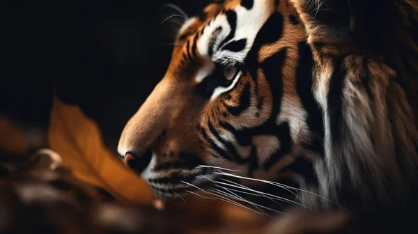 Tigre de bengala branco olhando para a câmera na florestadia