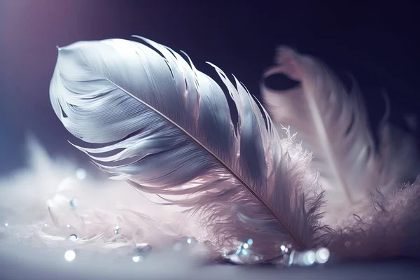 a white feather with drops of water on a dark background with a blurry image of a feather on the left side of the image.