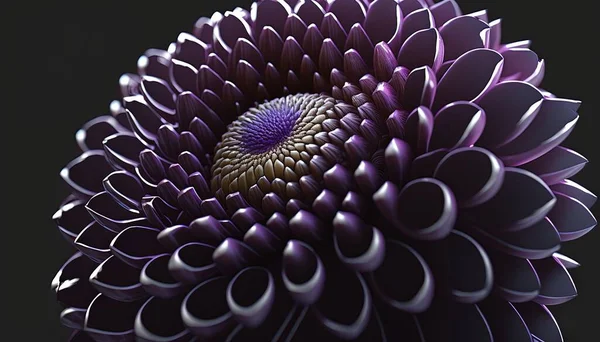 a purple flower with a black background and a purple center is shown in the center of the flower, with a black background and a purple center is shown in the middle.