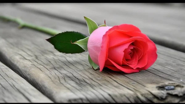 a single red rose sitting on top of a wooden table next to a green stem on a piece of wood with a green stem on it.