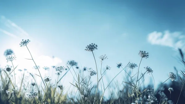 a bunch of flowers that are in the grass with the sun in the sky in the back ground of a field with grass and flowers in the foreground.