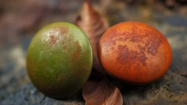 a couple of oranges sitting next to each other on a rock surface with a leaf on top of it and a piece of fruit on the ground.