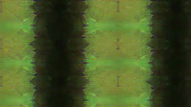 Döndürülebilir renkli mercek fişekleri. Doğal ışık başkalaşımları. Işıklar kaotik bir şekilde yanıp sönüyor. Profesyonel projeler için kullanılabilir. 4k prores.