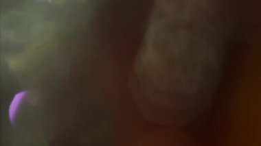 Soyut bokeh, çok renkli parlak kaplama, rüya gibi 90 'lar hissi. Her web projesi için iyidir. Döndürülebilir video.