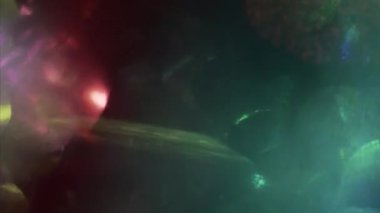 Lüks renkli dokular. İnanılmaz ışık başkalaşımları. Karanlıkta ışıklar parlar. Profesyonel iş için uygun. 4k prores.