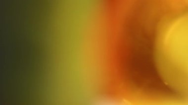 Abstract dynamic futuristic trendy glittering background in yellow and green colours. Footage in 4k for your project. 