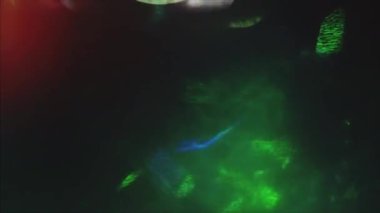 Casual elegant futuristic nostalgic iridescent background. Light bokeh, beautiful colors, 4k.