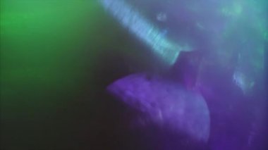 Casual light breaks through clear glass. Unique psychedelic overlays. Beautiful colors and shapes.