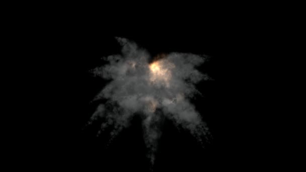 High Quality Explosion Animation Alpha Channel Resolution Ultra — Vídeo de stock